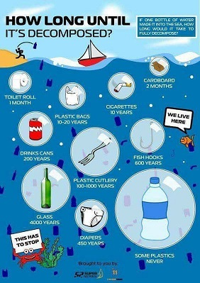 How does it take for items to decompose - Transition Island